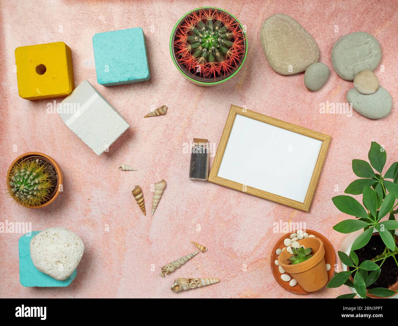 Vista dall'alto del mockup con cactus, rocce, mensole e decorazioni estive su tavola di sabbia rosa. Foto Stock