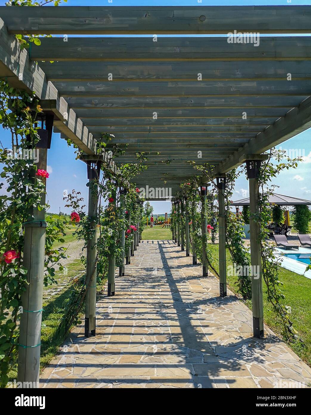 Un percorso lastricato nel giardino con archi in legno coperti di rose e rose in fiore, idee per decorazioni da giardino con bellissimi motivi naturali Foto Stock