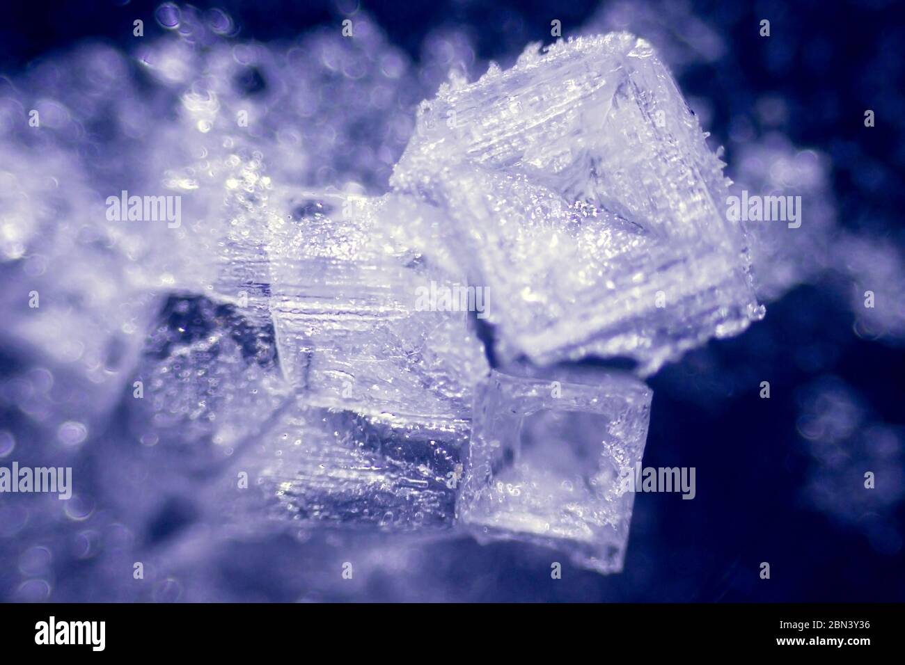 incredibili cristalli di sale al microscopio Foto stock - Alamy
