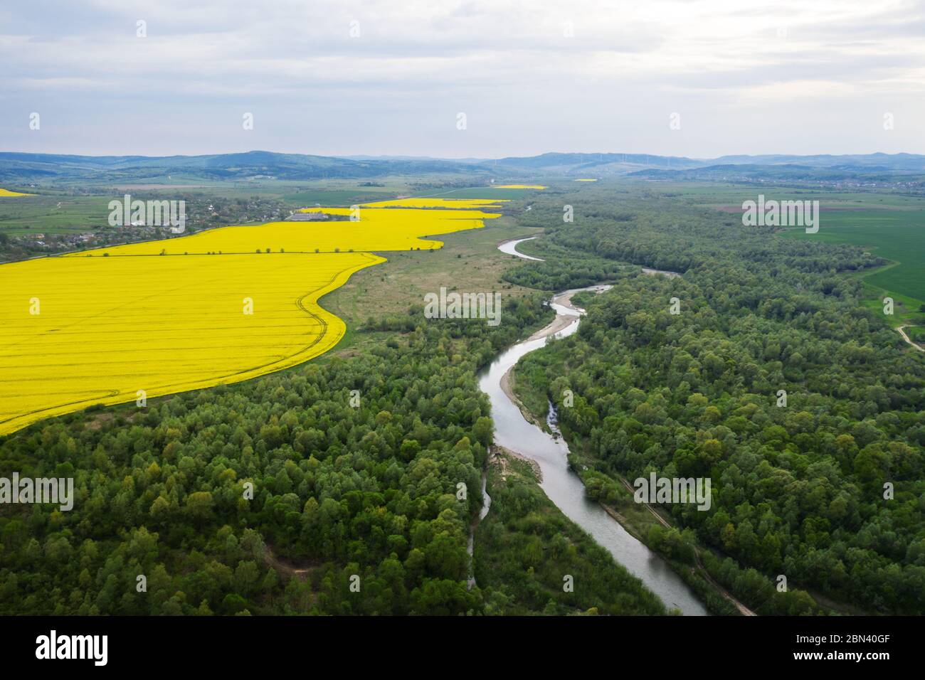 Volo attraverso il maestoso fiume, la lussureggiante foresta verde e i campi di colza gialli fioriti all'ora del tramonto. Fotografia di paesaggio Foto Stock