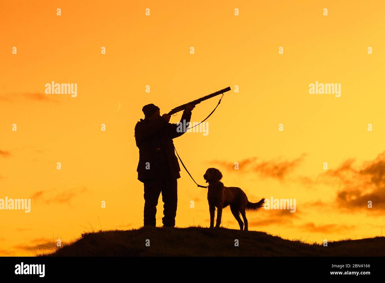 Cacciatore in prato al tramonto / tiro all'alba con fucile da caccia / fucile da caccia e cane Weimaraner silhoueted contro il cielo arancione Foto Stock