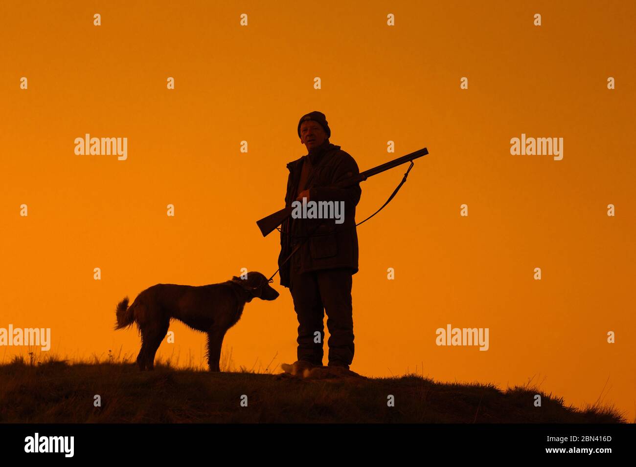Cacciatore con fucile da caccia e cane Weimaraner silhoueted contro il cielo della sera Foto Stock