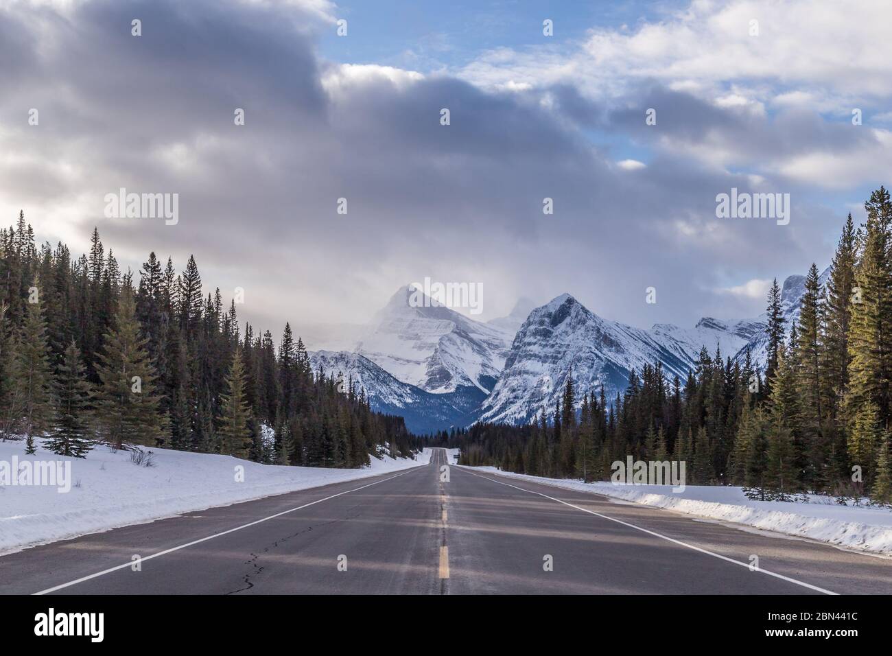 Strade invernali in Canada lungo la Icefield's Parkway in Alberta. Si possono vedere cime di montagna, neve e alberi. Foto Stock
