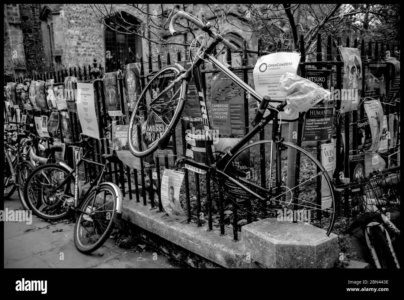Image ©concesso in licenza a Parsons Media. 22/11/2015. Londra, Regno Unito. Cambridge. Biciclette incatenate alle ringhiere decorate con poster per eventi locali che si svolgono nel centro di Cambridge. Foto di Andrew Parsons / Parsons Media Foto Stock Image ©concesso in licenza a Parsons Media. 22/11/2015. Londra, Regno Unito. Cambridge. Biciclette incatenate alle ringhiere decorate con poster per eventi locali che si svolgono nel centro di Cambridge. Foto di Andrew Parsons / Parsons Media Foto Stock