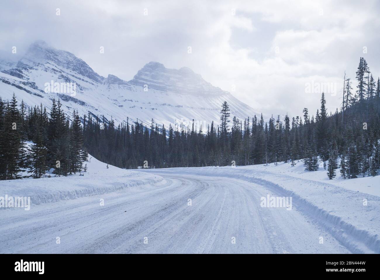 Strade invernali in Canada lungo la Icefield's Parkway in Alberta. Si possono vedere cime di montagna, neve e alberi. Foto Stock