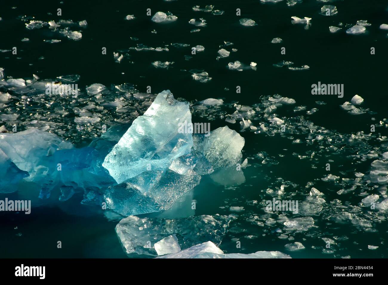 Bella iceberg blu galleggianti in Tracy Arm Fjord. Foto Stock