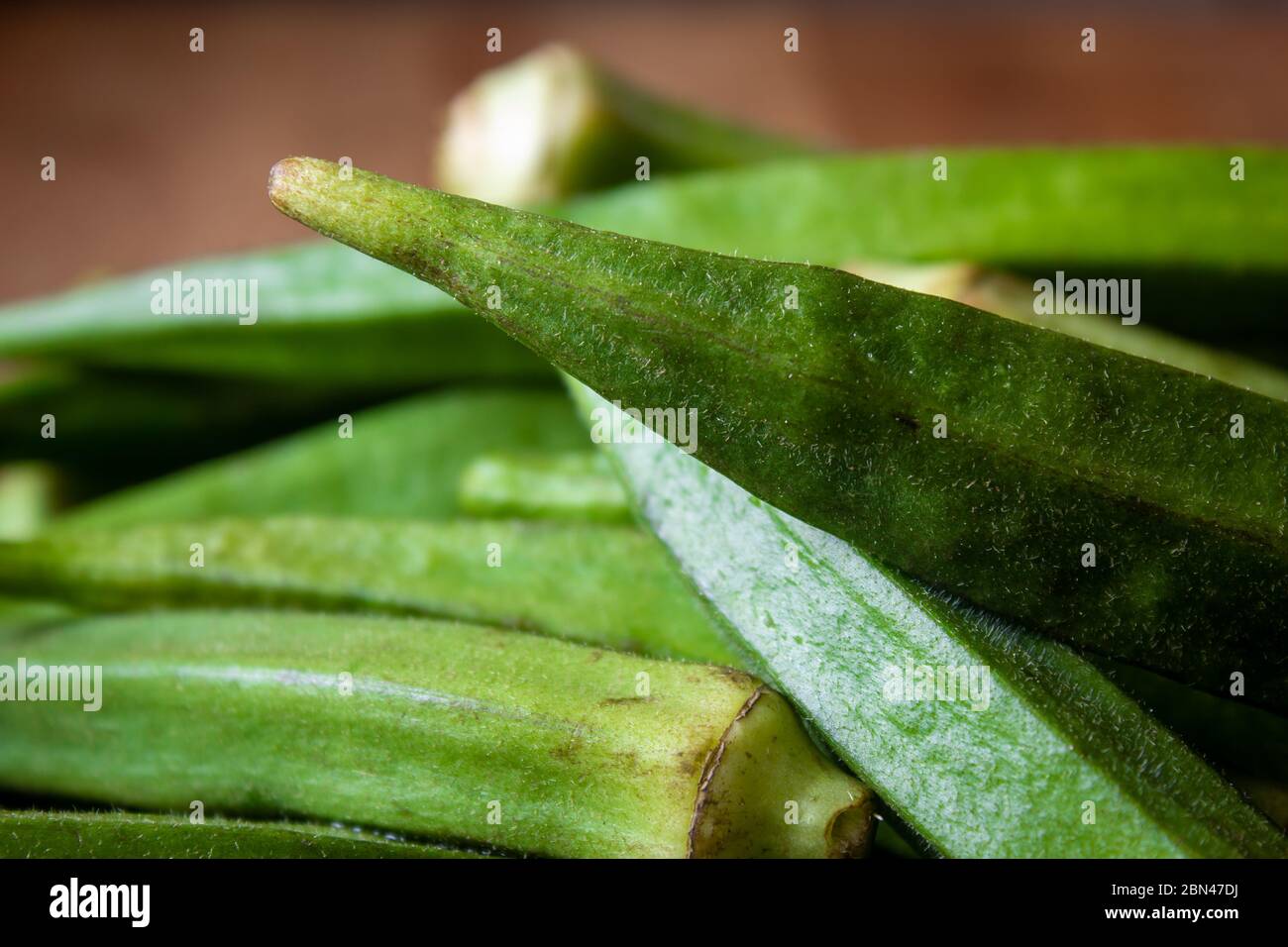 Vista ravvicinata della verdura okra (chiamata anche "Ladies Finger"). Foto Stock