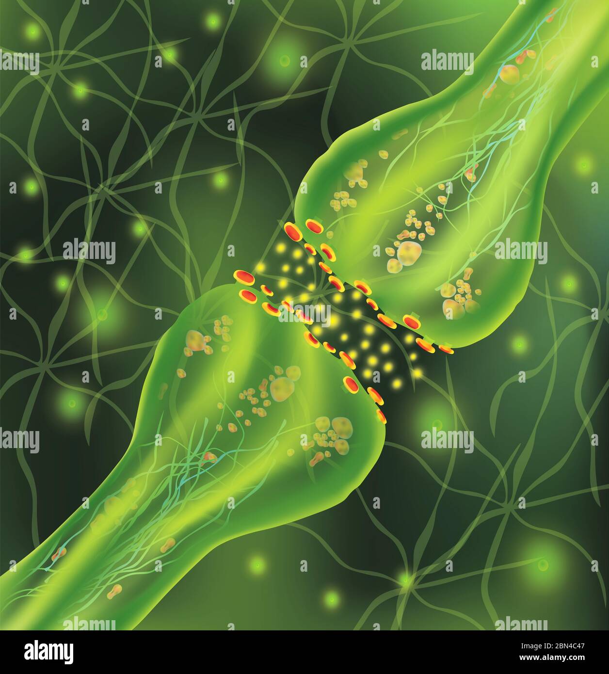 Segnalazione nel cervello. Connessioni neurali nella forma del cervello pensieri, concetto di apprendimento. Trasmissione di impulsi in un organismo vivente. Isolato neurale su sfondo verde. Cellule di sinapsi e neuroni. Foto Stock