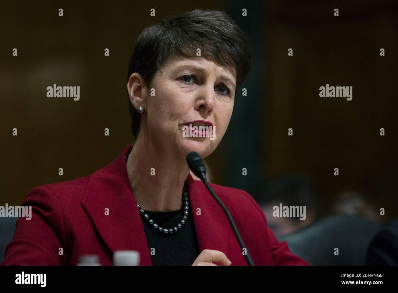 Il 6 marzo 2018, l'Assistente esecutivo per le dogane e la protezione delle frontiere (CBP) degli Stati Uniti Brenda Smith ha testimoniato davanti alla commissione finanziaria del Senato, discutendo misure per proteggere i consumatori di e-commerce da merci contraffatte. Foto Stock