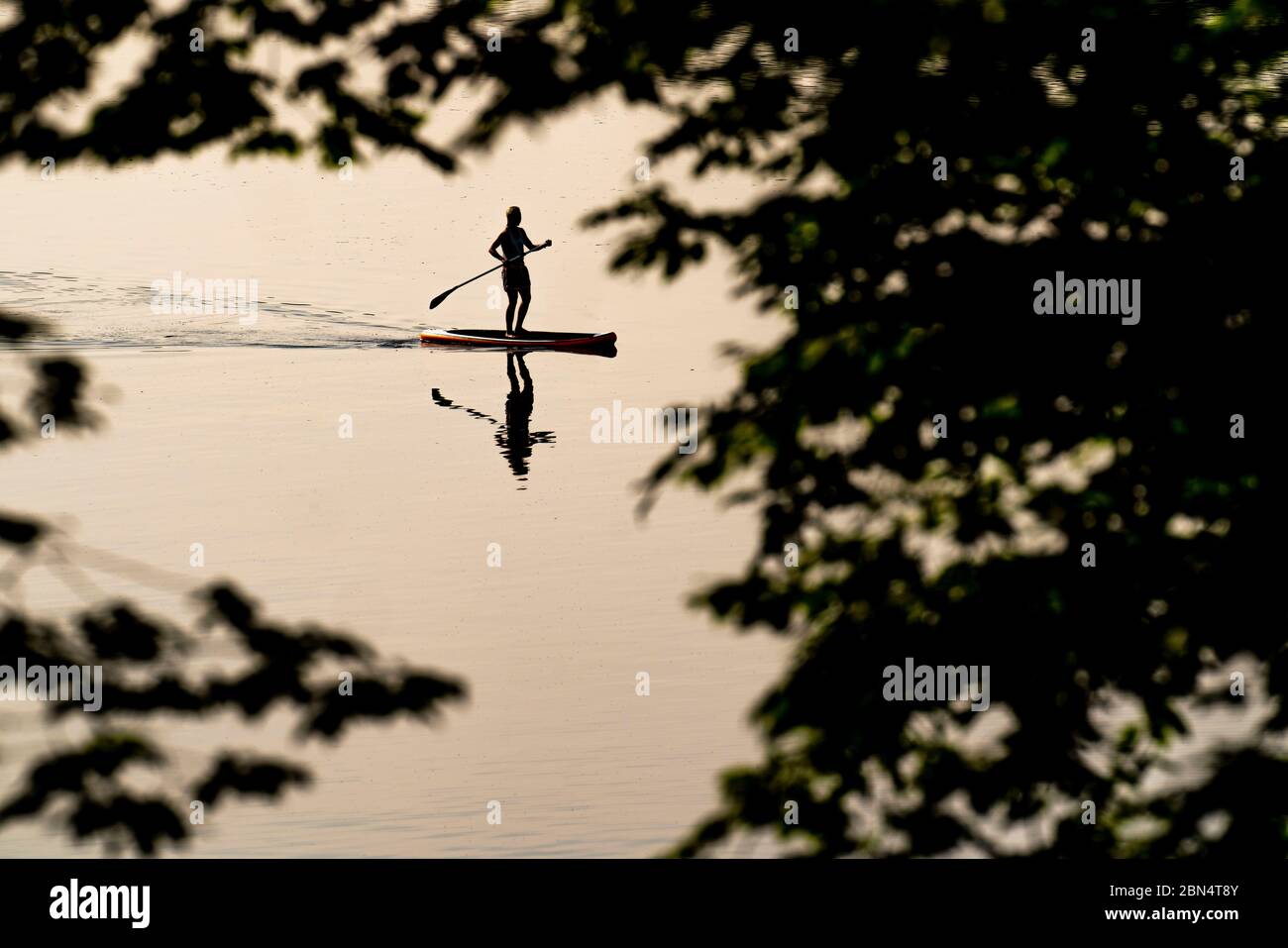 Pagaiolo sul lago Baldeney, Essen, NRW, Germania, Foto Stock