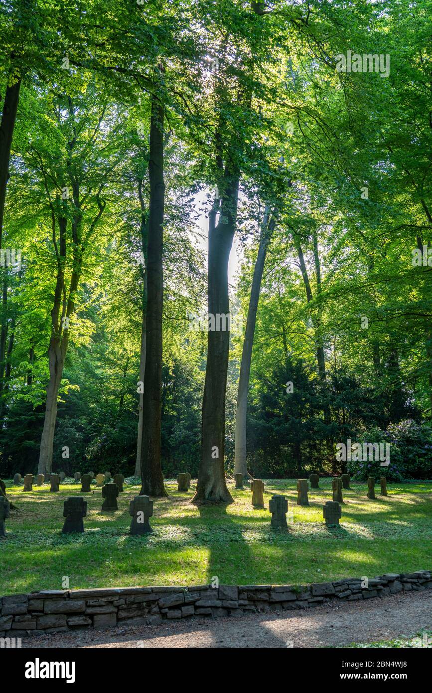 Tombe di guerra, cimitero nel Kettwiger Stadtwald, a Essen-Kettwig, NRW, Germania Foto Stock