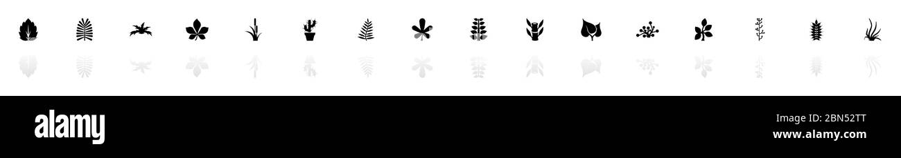 Icone piante - simbolo nero orizzontale illustrazione su sfondo bianco con specchio riflesso ombra. Icona vettore piatto. Illustrazione Vettoriale