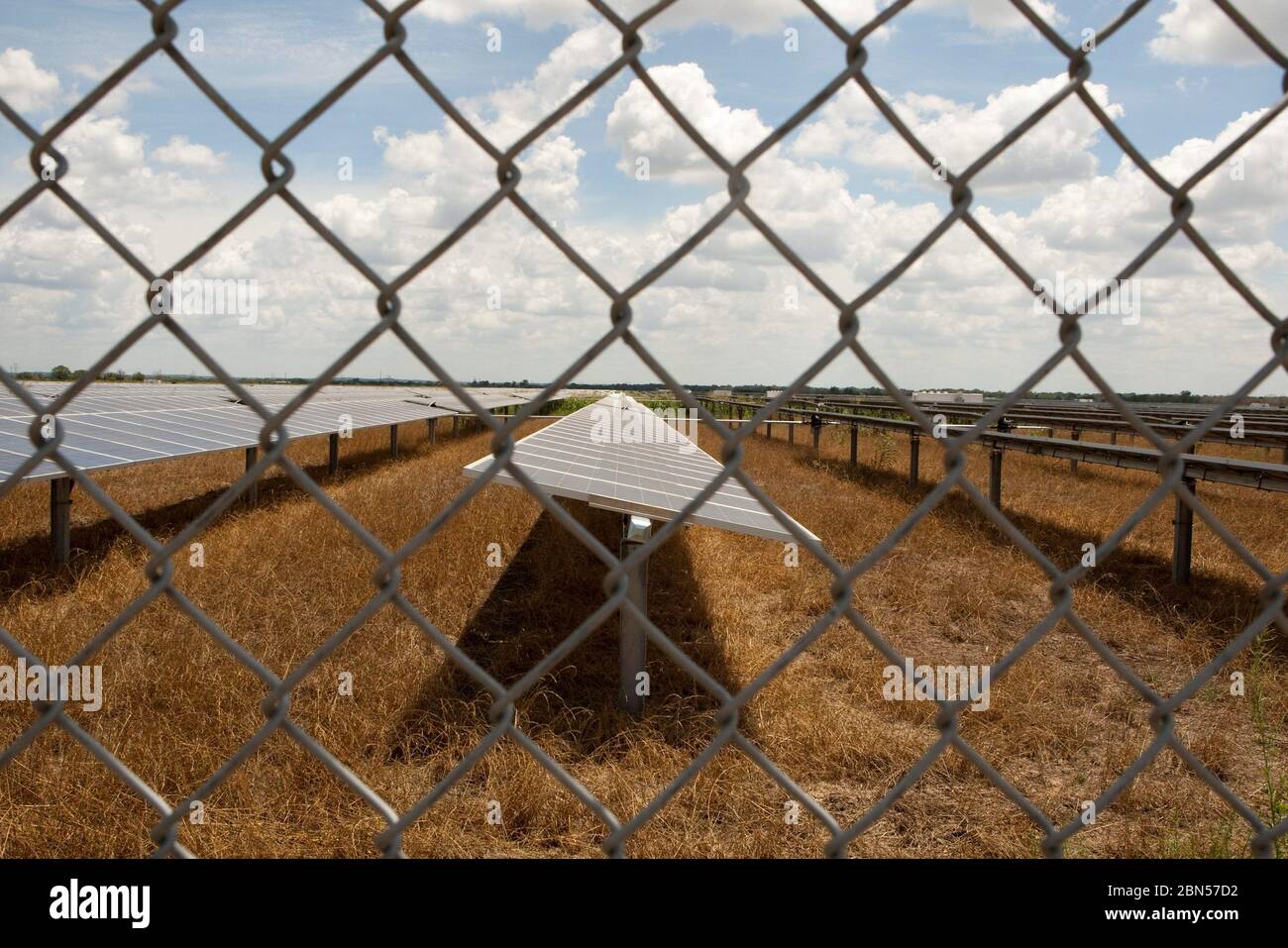 Austin, Texas USA, giugno 2012: Serie di pannelli solari in un progetto Webberville Solar vicino Austin. L'impianto è un impianto fotovoltaico a corrente continua (DC) da 35 megawatt su 380 acri e produrrà annualmente oltre 50.000 MWh di energia solare esente da emissioni, sufficienti per alimentare 5000 abitazioni. ©Marjorie Kamys Cotera/Daemmrich Photography Foto Stock