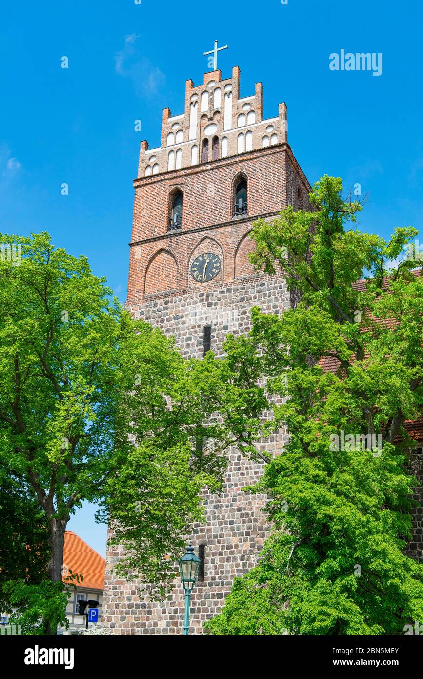 Torre della Marienkirche, Angermuende, Uckermark, Brandeburgo, Germania Foto Stock
