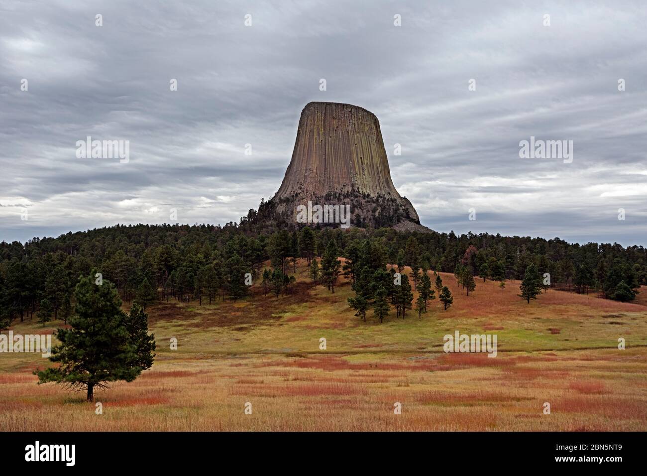 WY04257-00....WYOMING - Torre del Diavolo dal Joyner Ridge Trail nel Devil's Tower National Monument. Foto Stock