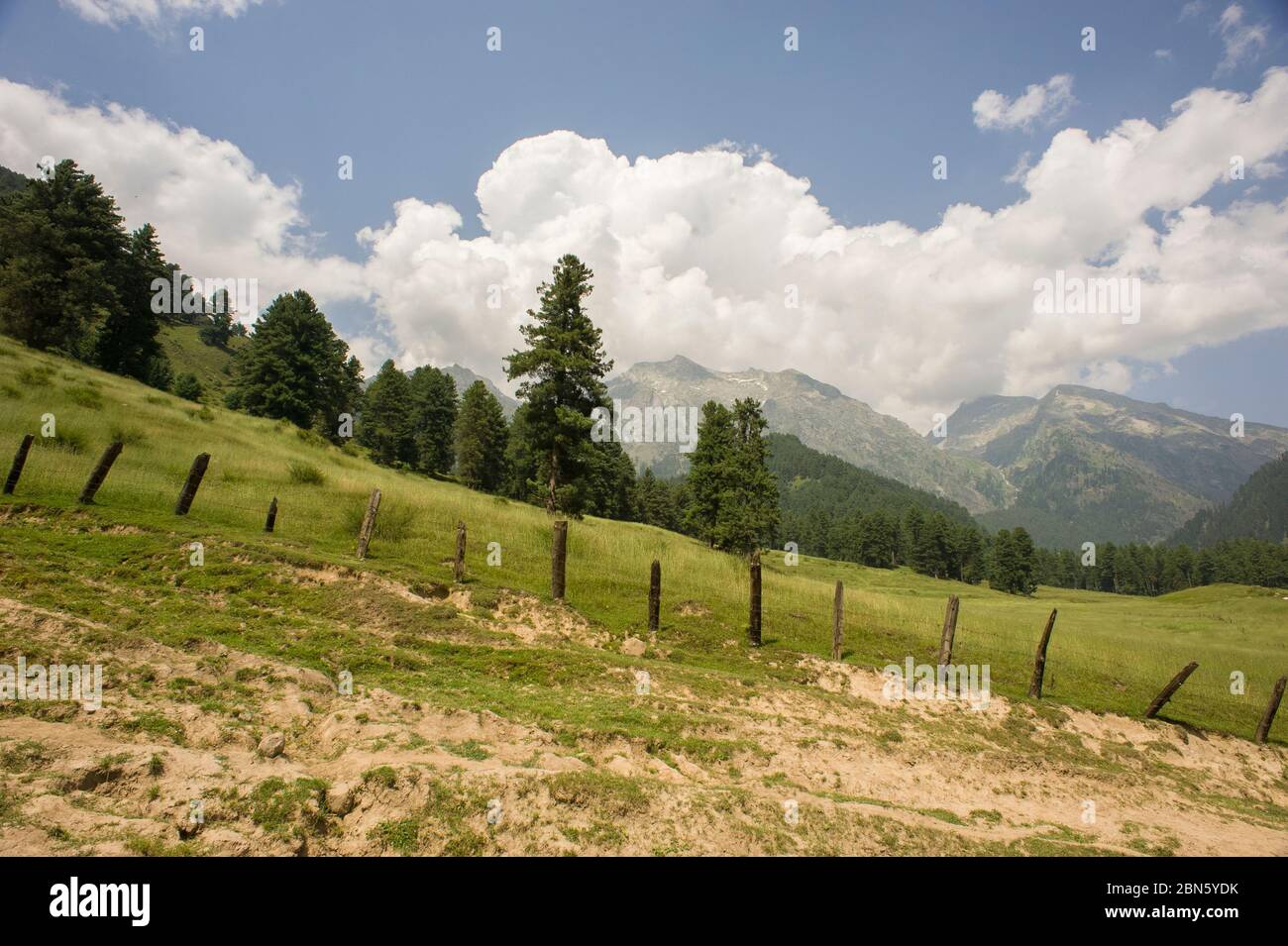 Pahalgam, Jammu e Kashmir, India - 01 agosto 2011: Paesaggio di natura abbagliante della Valle di Aru nell'estremo nord dell'India Foto Stock