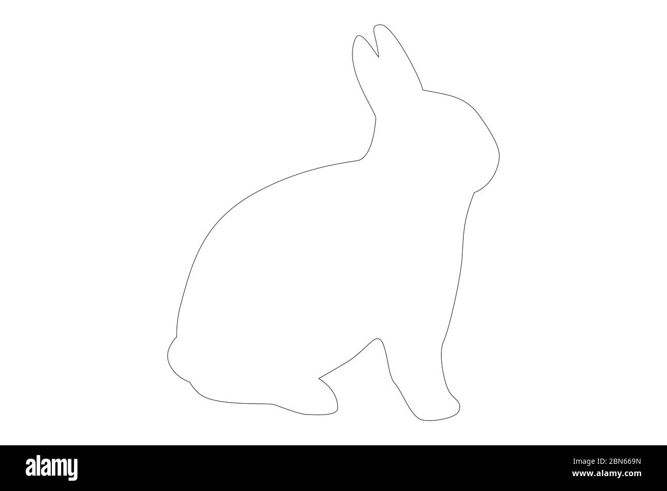 coniglio bianco su sfondo bianco Foto Stock