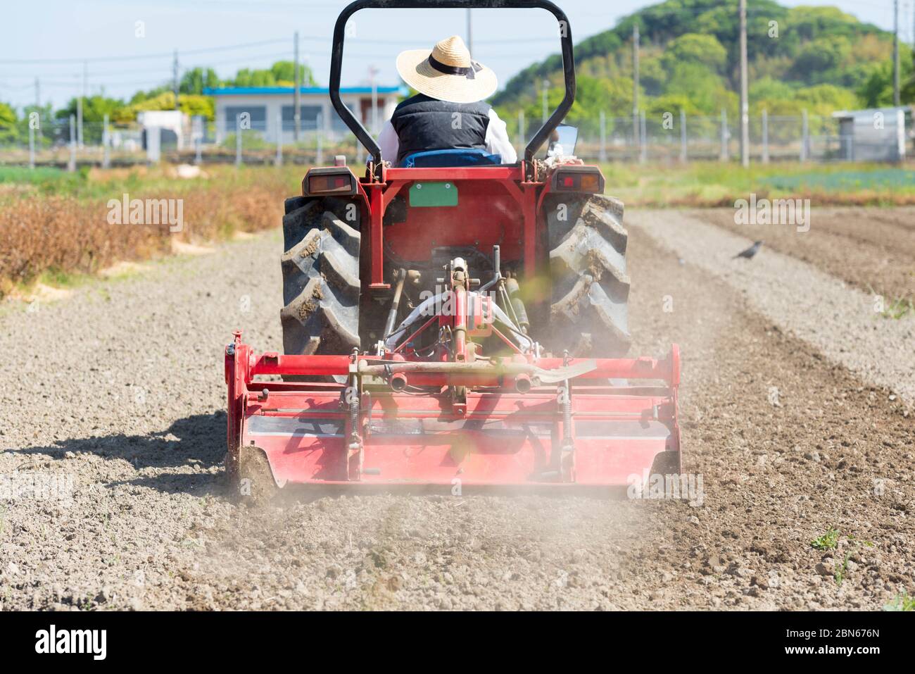 Trattore rosso che aratura il terreno agricolo del campo di riso. Foto Stock