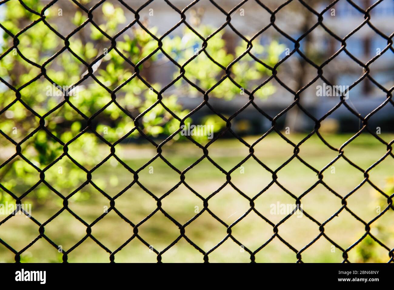 Recinzione in rete di ferro su uno sfondo di natura Foto stock - Alamy