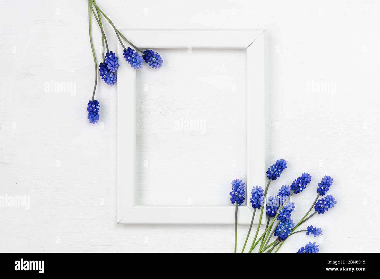 Cornice in legno bianco e bouquet di fiori blu su sfondo bianco. Vista dall'alto. Disposizione piatta. Foto Stock