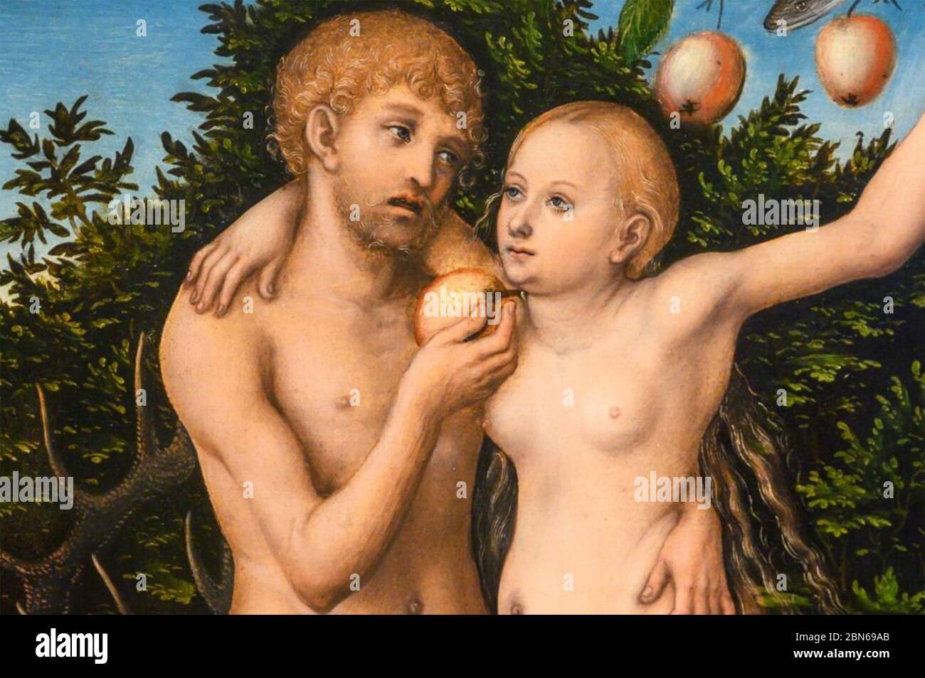 LUCAS CRANACH IL MAGGIORE (c 1472-1553) pittore e incisore rinascimentale tedesco. Una sezione di una delle diverse versioni di Adamo ed Eva dipinta da Cranach Foto Stock