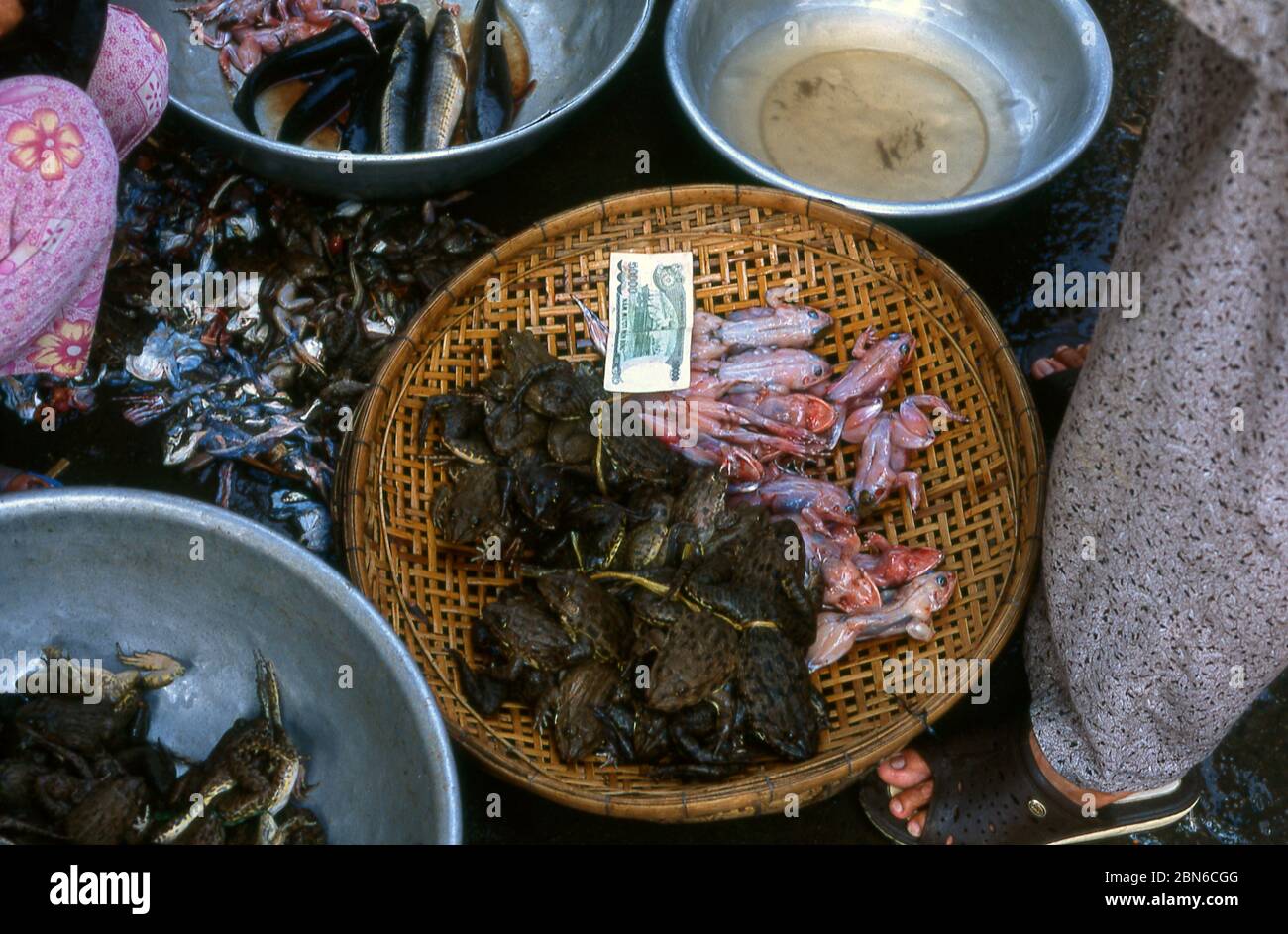 Vietnam: Rane e pesce in vendita nel mercato SA Dec, provincia di Dong Thap, Delta Mekong. SA Đéc è un porto fluviale e un'attività agricola e industriale Foto Stock