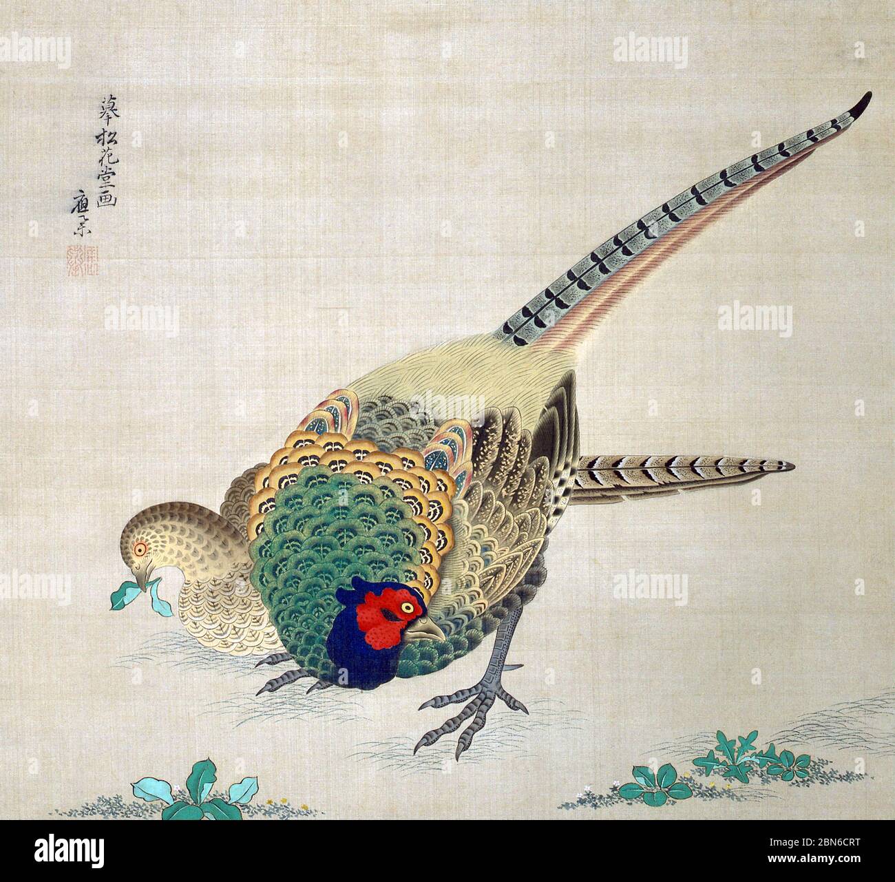 Giappone: 'Coppia di fagiani'. Pittura a chiocciola appesa di Maryuama Okyo (1733-1795), fine del 18 ° secolo. Maruyama Okyo (12 giugno 1733 - 31 agosto 1795), Foto Stock