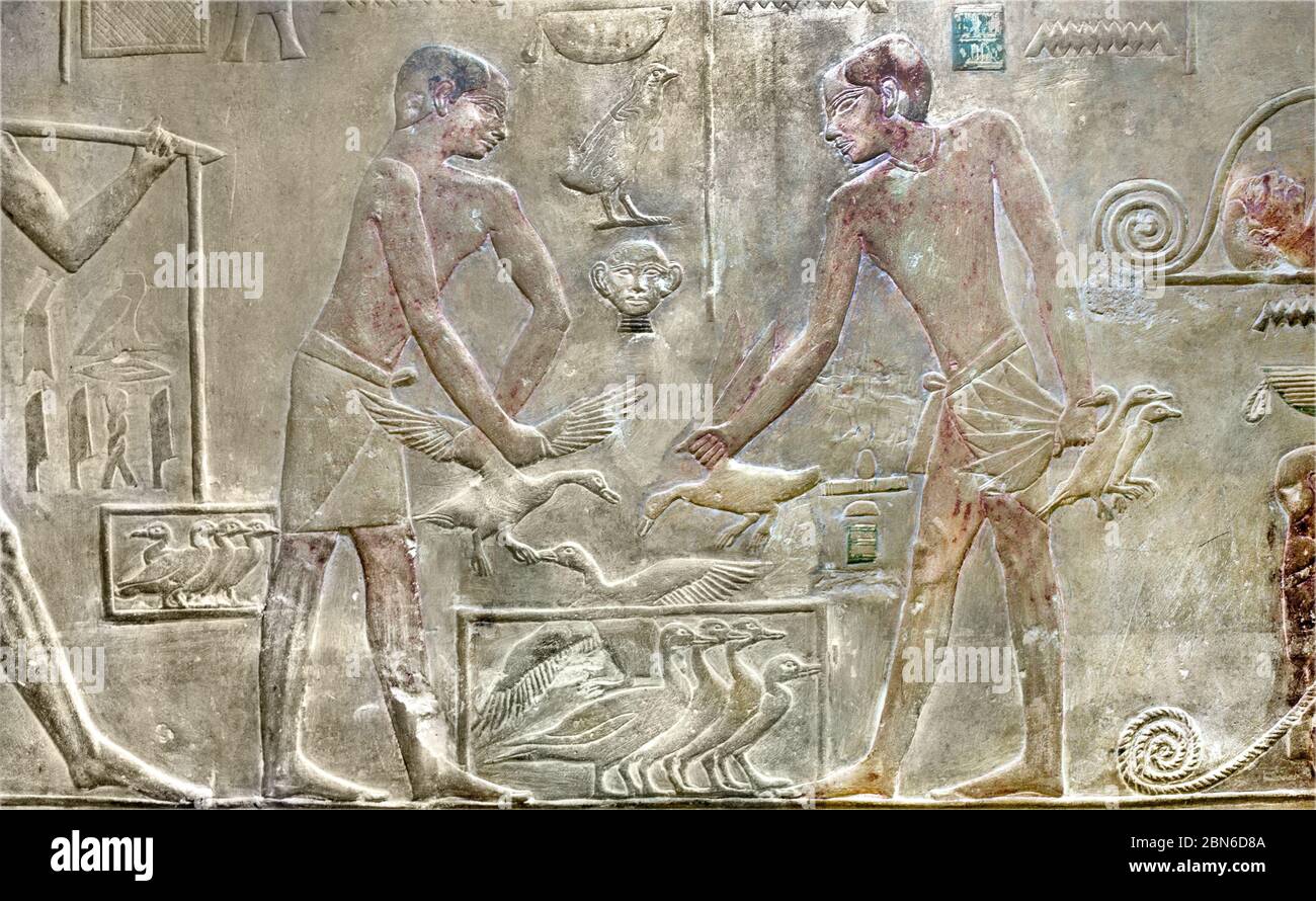 Tomba di Ptahhotep, allevatori di oche Foto Stock