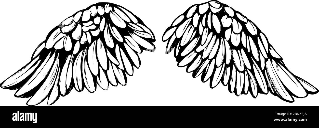 Ali d'angelo, collezione di ali d'uccello cartoon disegno vettoriale disegno illustrazione. Illustrazione Vettoriale