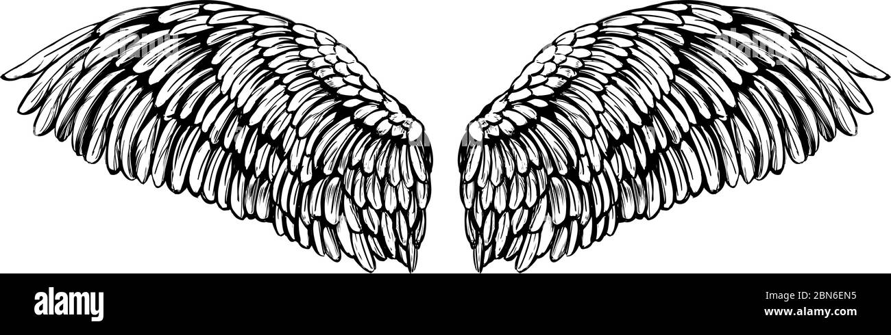 Ali D'angelo Volanti Piatte Di Aureola. Illustrazione Vettoriale -  Illustrazione di uccello, fumetto: 219762352