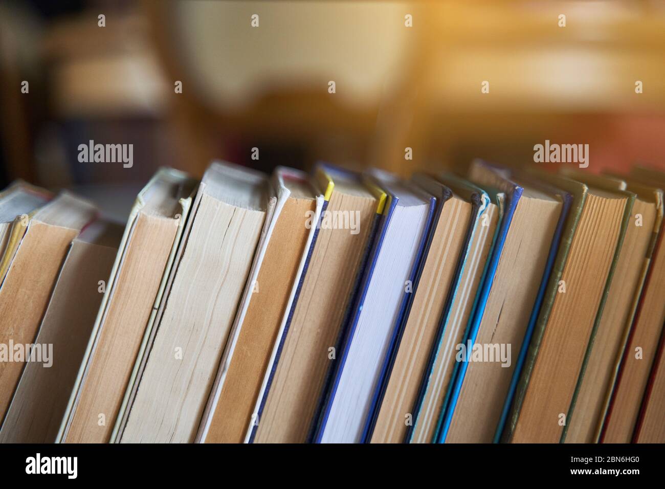 mucchi di libri su una libreria di legno. Foto Stock