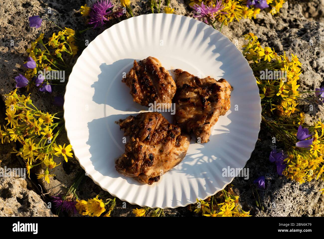 Carne bianca cotta adagiata su un piatto bianco, circondata da fiori su pietre. Cena romantica all'aperto in campeggio Foto Stock