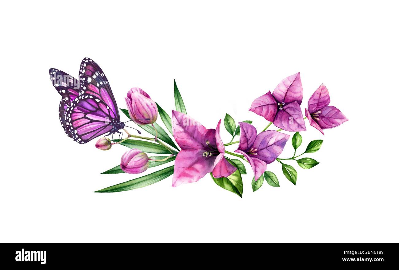 Bouquet di bouganvillea acquerello con farfalla. Fiori viola, monarca viola e foglie di palma. Mano dipinta corona tropicale floreale. Botanico Foto Stock