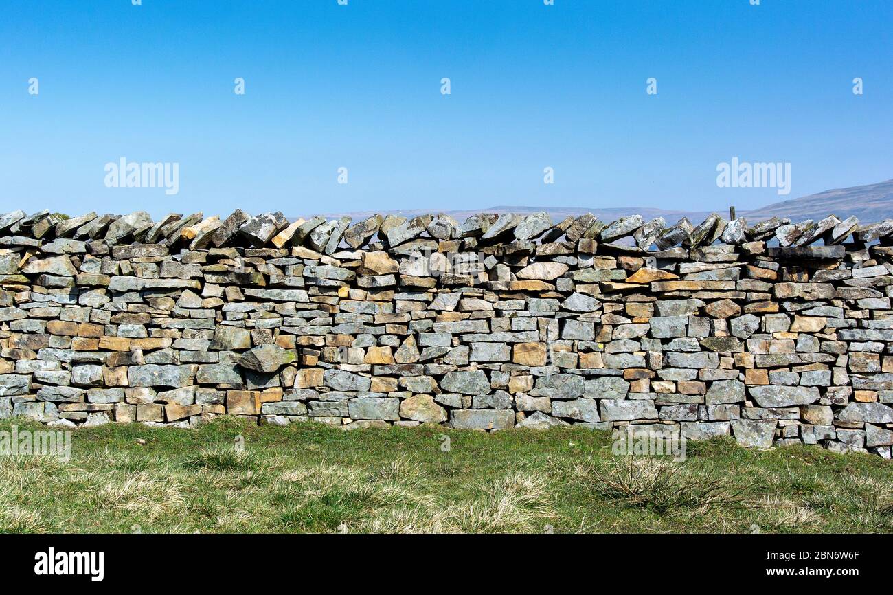 Muro di pietra a secco di recente costruzione, parte di un piano di sovvenzione per ripristinare i muri nelle aziende agricole nel Regno Unito. North Yorkshire. Foto Stock