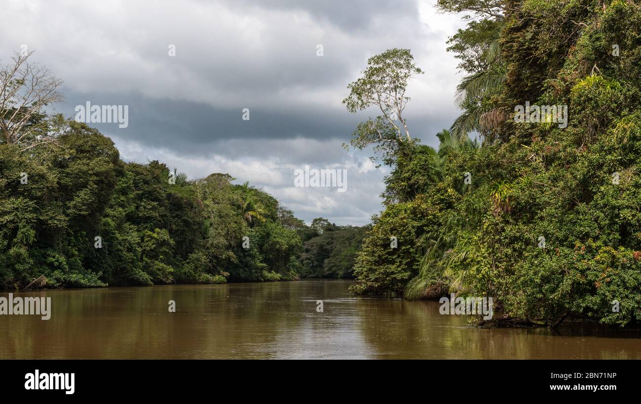 Fiume e foresta pluviale nel Parco Nazionale di Tortuguero, Costa Rica Foto Stock