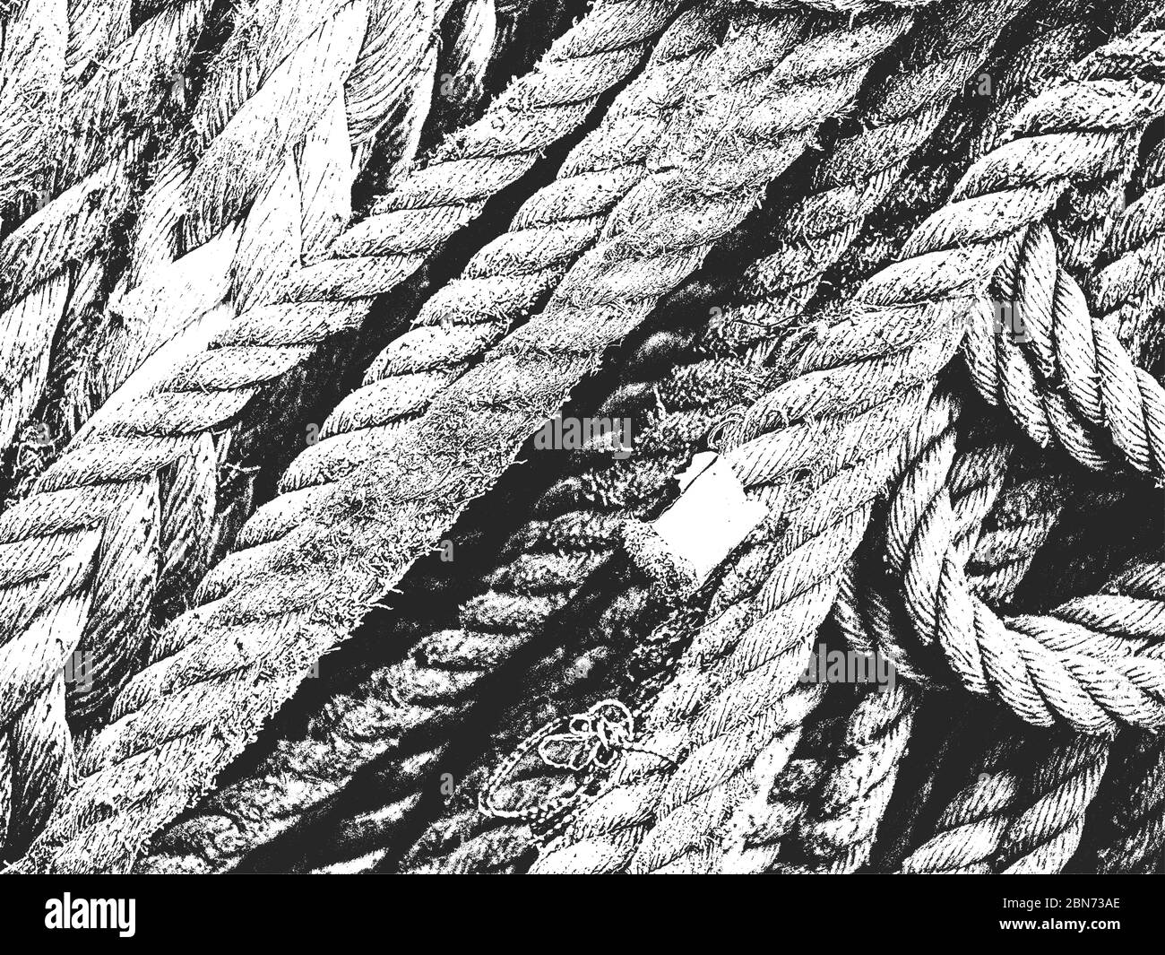 Distress grunge trama vettoriale di corda di vimini. Sfondo bianco e nero. Illustrazione EPS 8 Illustrazione Vettoriale