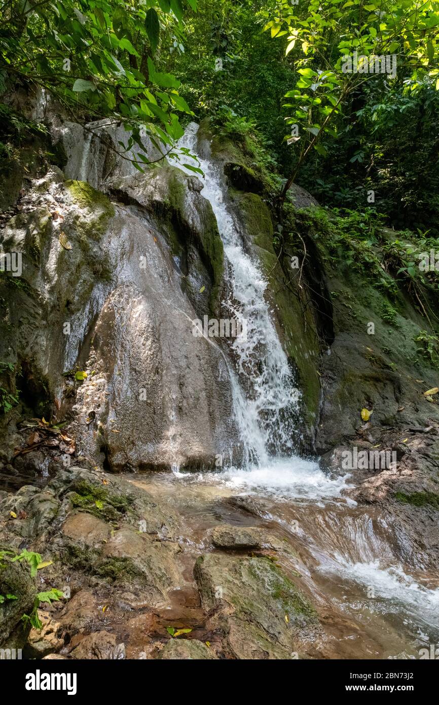 Ruscello della foresta pluviale in fondo alla valle, Costa Rica Foto Stock