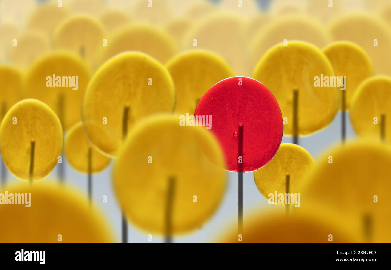 Folla di Lollipop gialli e un Lollipop rosso originale. Individualità. Unicità. Personalità e carattere diversi. Leader. Foto Stock