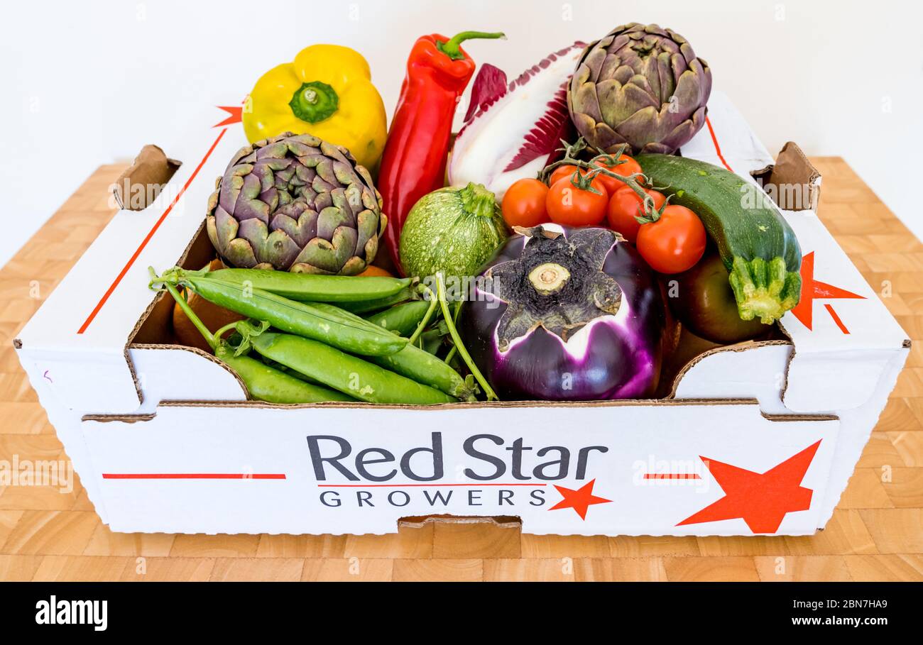 Scatola di consegna verdure con peperoni, indivia, melanzane, carciofi, cialde di piselli e pomodori ciliegini Foto Stock
