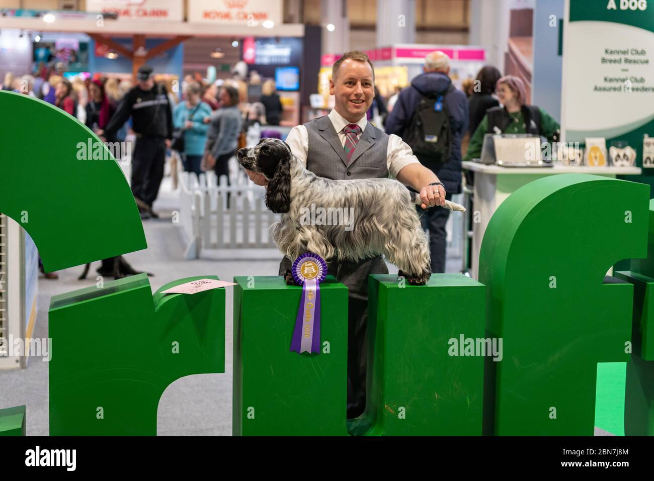 Il cane ha premiato una rosetta dei vincitori al Crufts Foto Stock