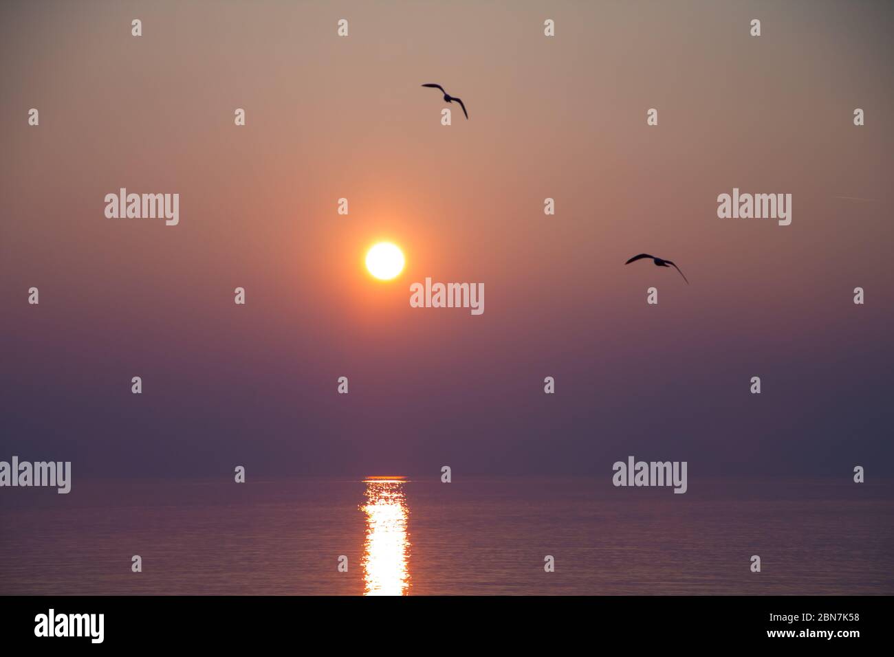 Gabbiani che volano sul lago scintillante al tramonto Foto Stock