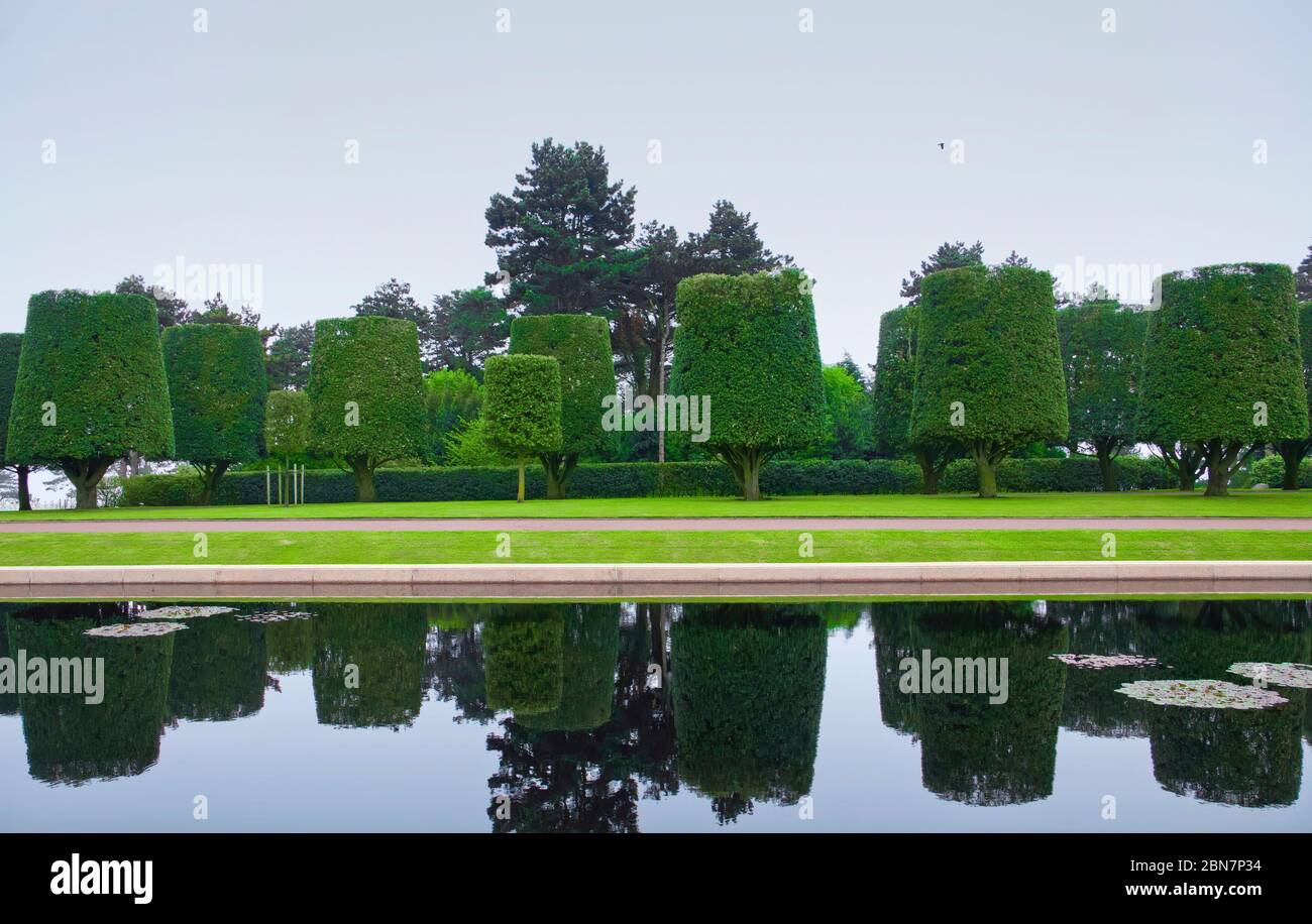Paesaggio, alberi ben rifiniti a Colleville sur Mer, Francia. Bellissimo giardino paesaggistico con alberi verdi rifiniti a forma di cilindro con riflesso in acqua. Foto Stock