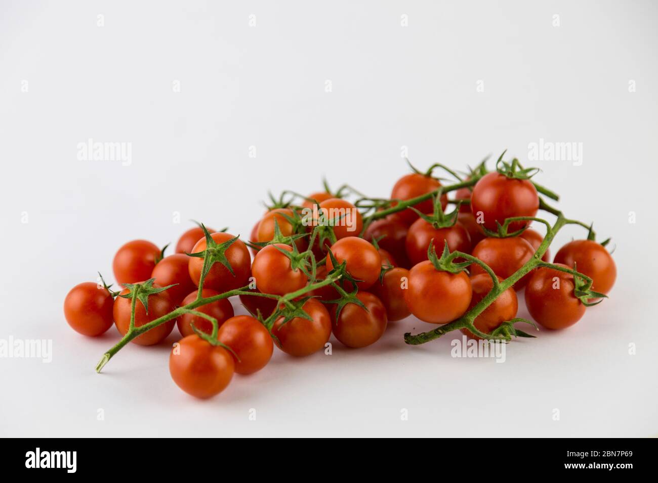 pomodori ciliegini coltivati organicamente Foto Stock