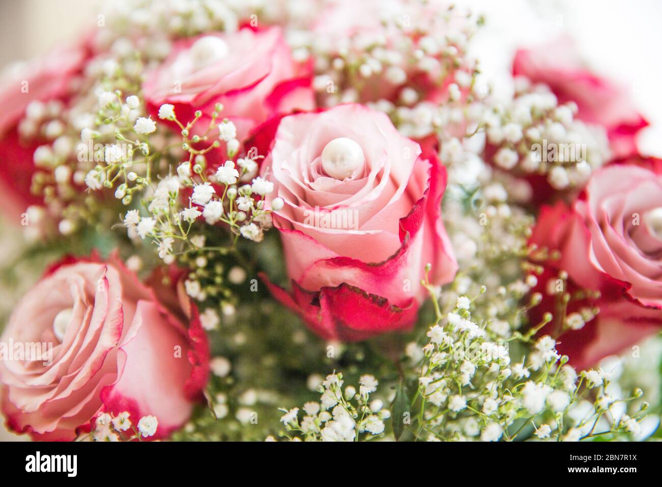 Perle di cultura su rose rosa fresche e bouquet di Gypsophila Foto Stock