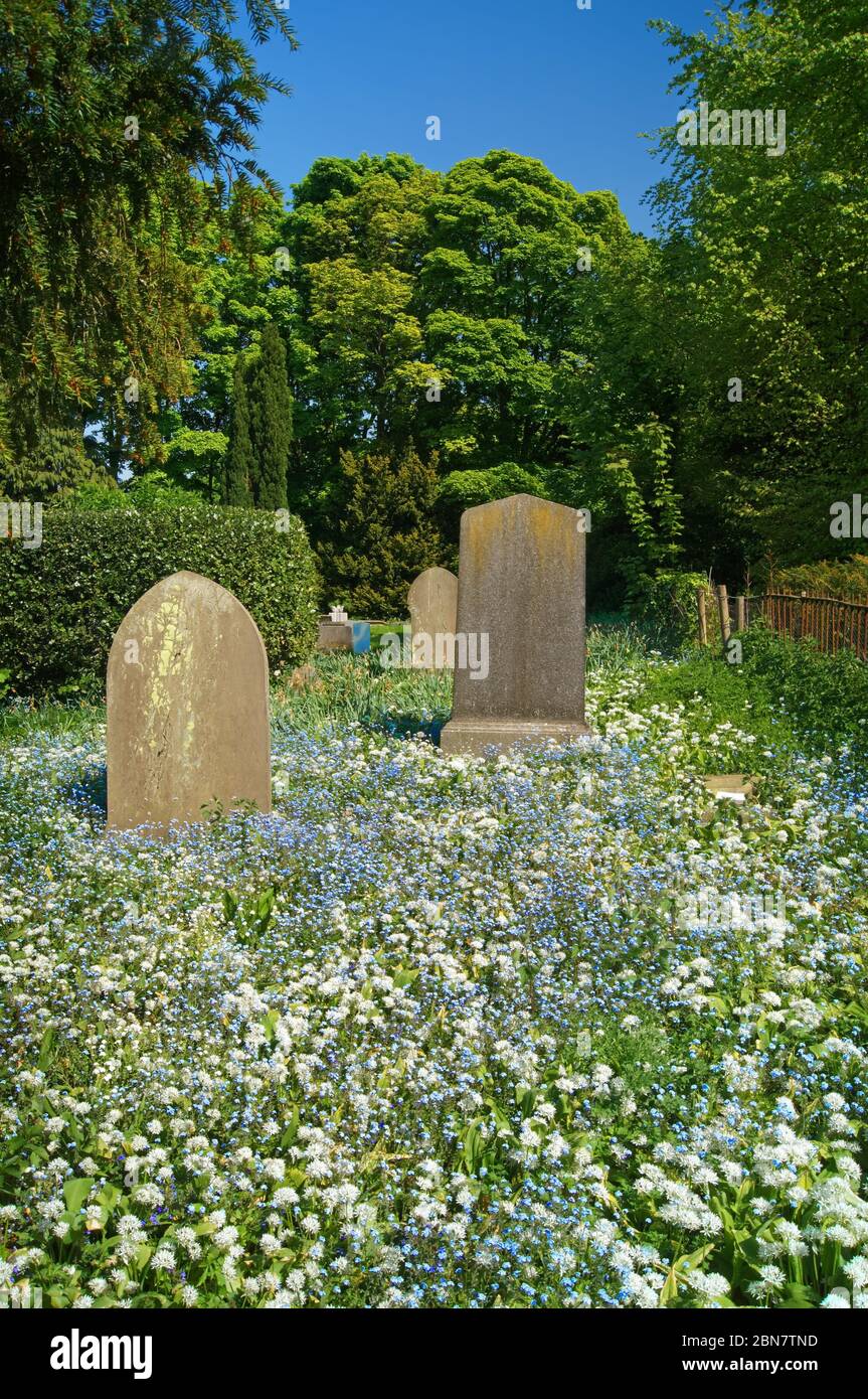 Regno Unito, South Yorkshire, Doncaster, Brodsworth, St Michaels Church Graveyard Foto Stock