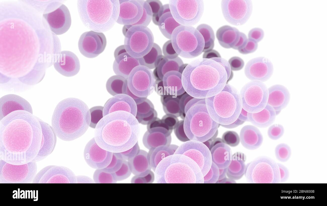 3d reso illustrazione di cellule umane isolate su sfondo bianco Foto Stock