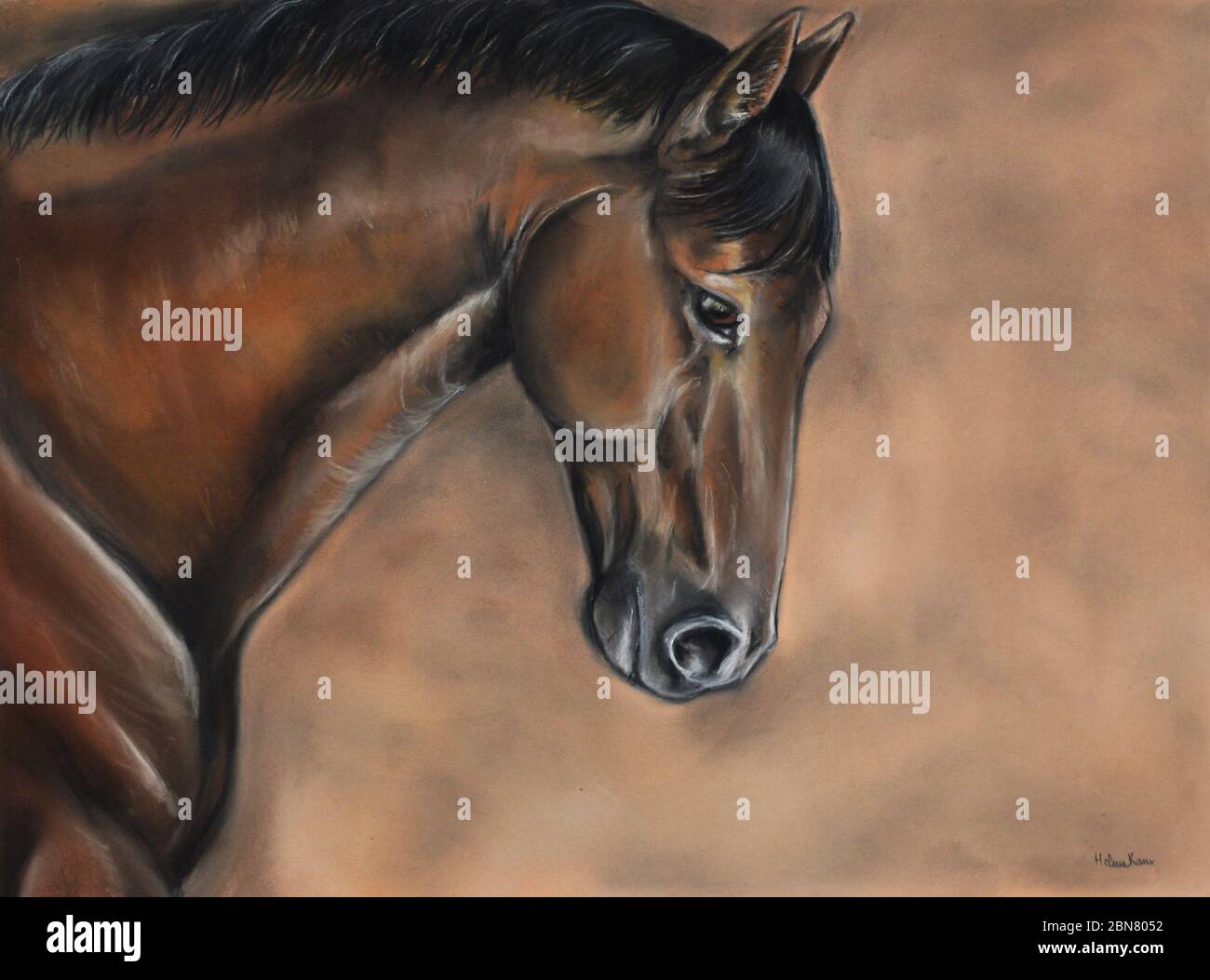 Bella arte disegno con un cavallo baia Foto Stock