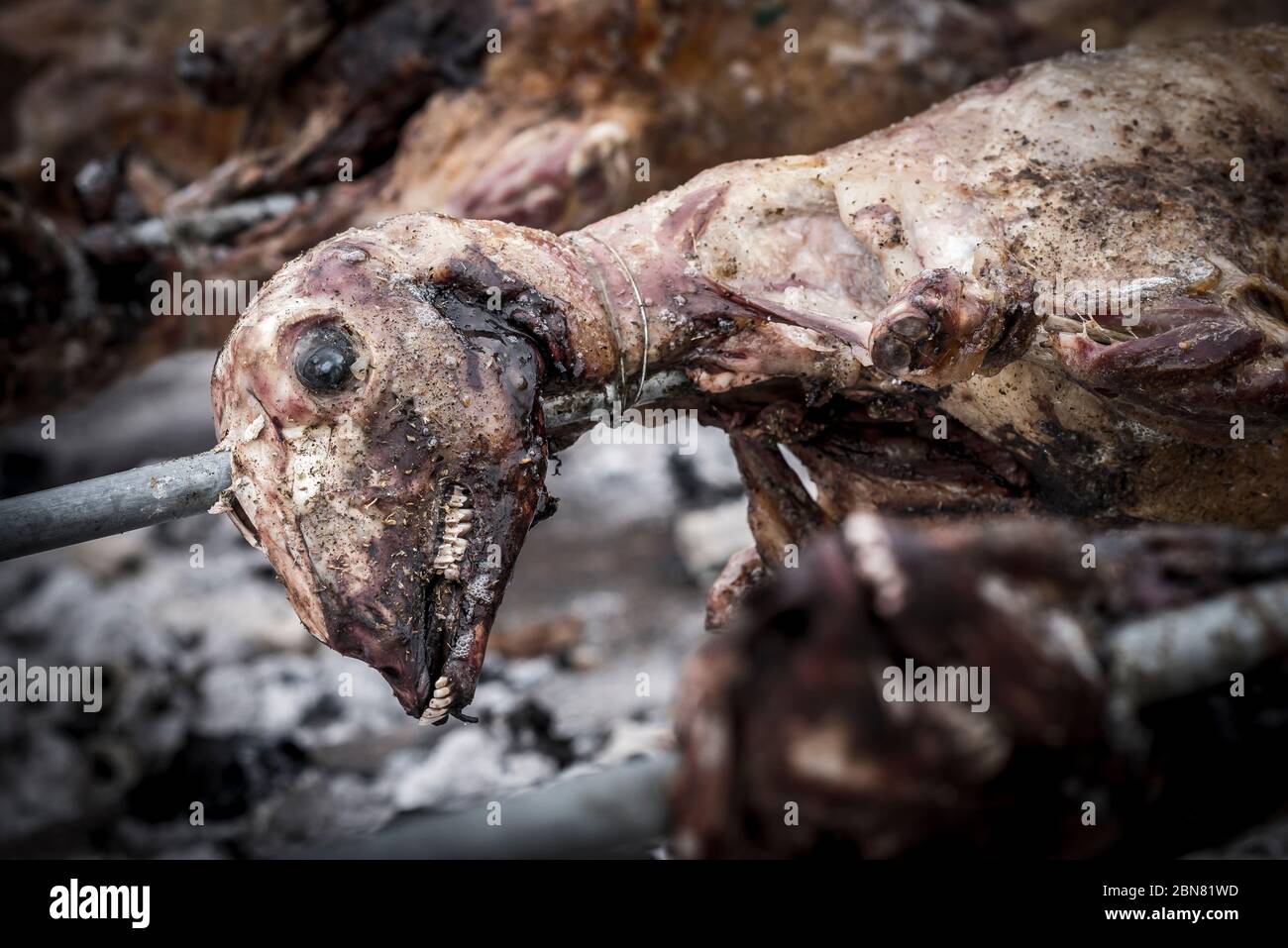 Capra che è arrostito su una punta a Corfù, Grecia. Foto Stock