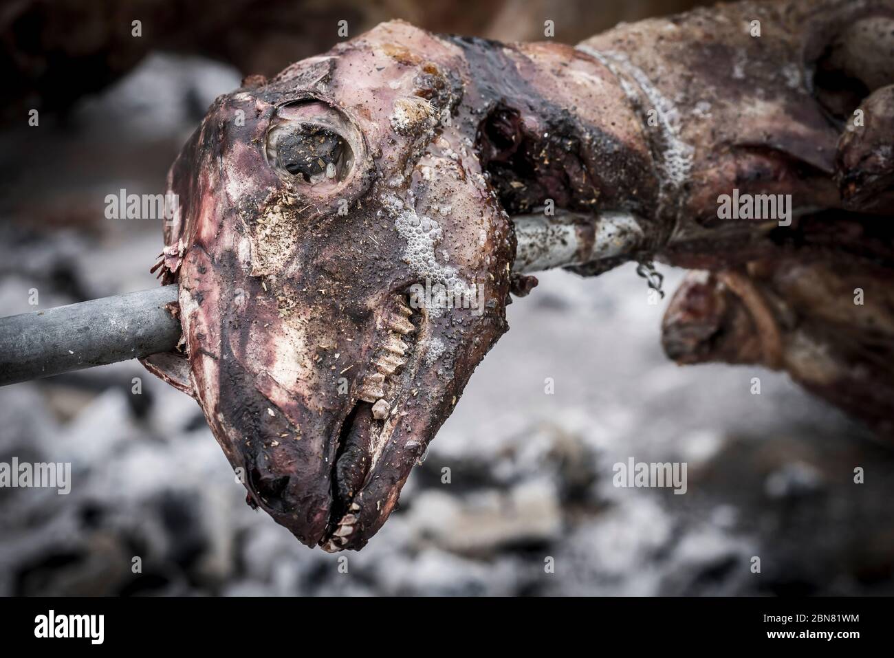 Capra che è arrostito su una punta a Corfù, Grecia. Foto Stock