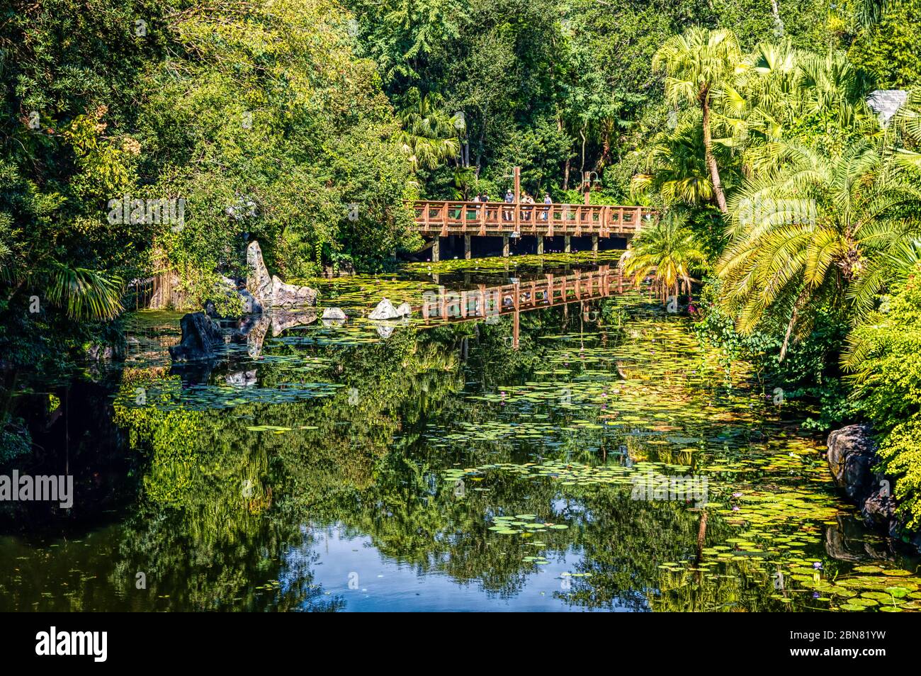 Pandora al Parco a tema del Regno degli Animali di Disney. Un mondo molto coinvolgente basato sul mondo Pandora dall'avatar di James Cameron Foto Stock